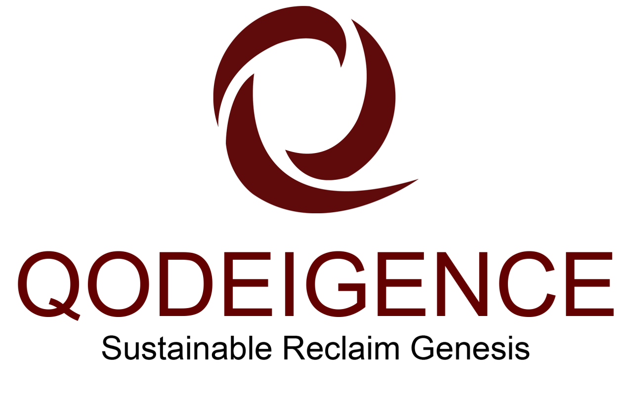 QODEIGENCE INFOCIRCLE PRIVATE LIMITED